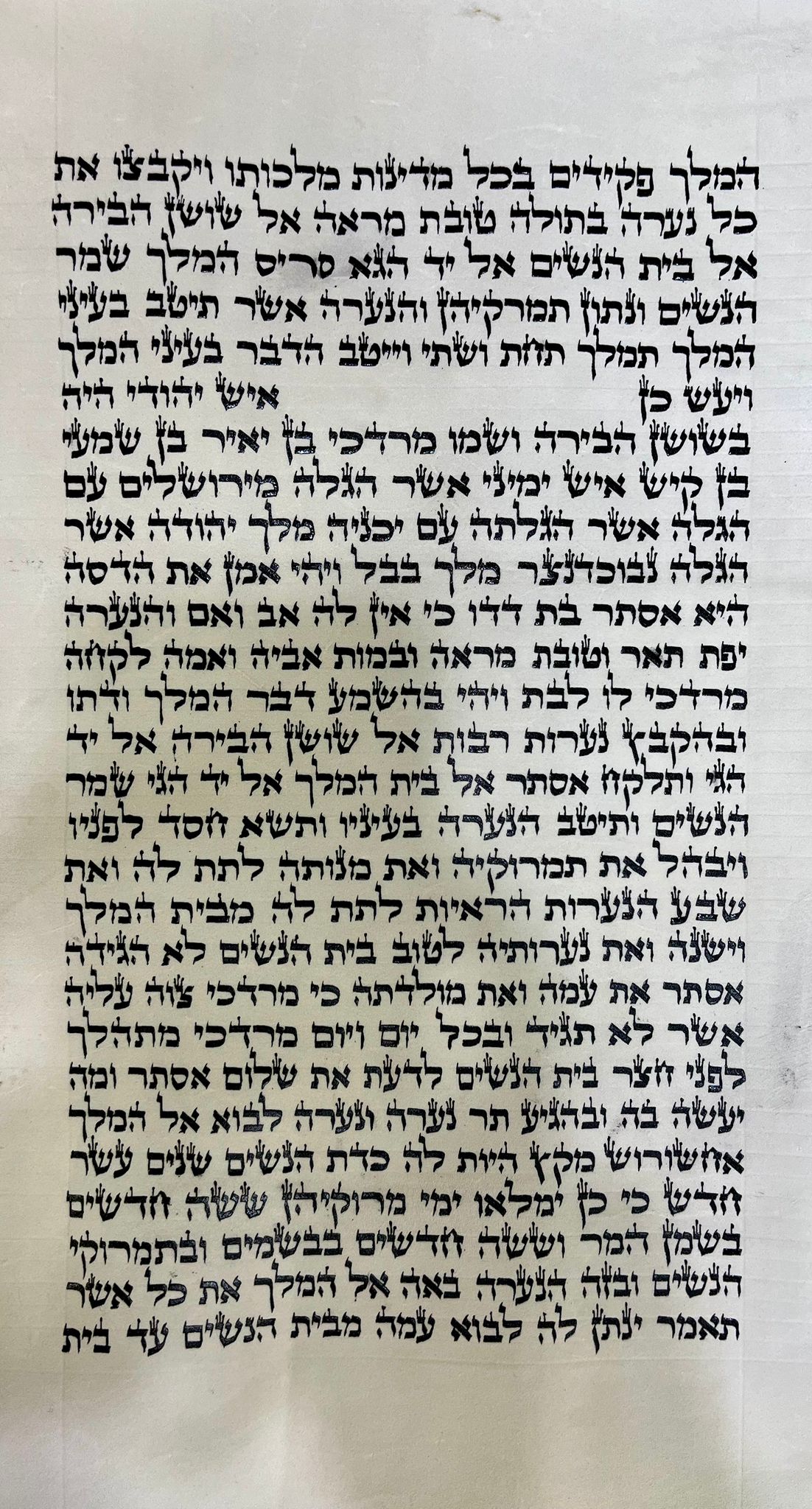 Premium Sephardic Megillah 37 cm Item 630 (העתק) - Image 4
