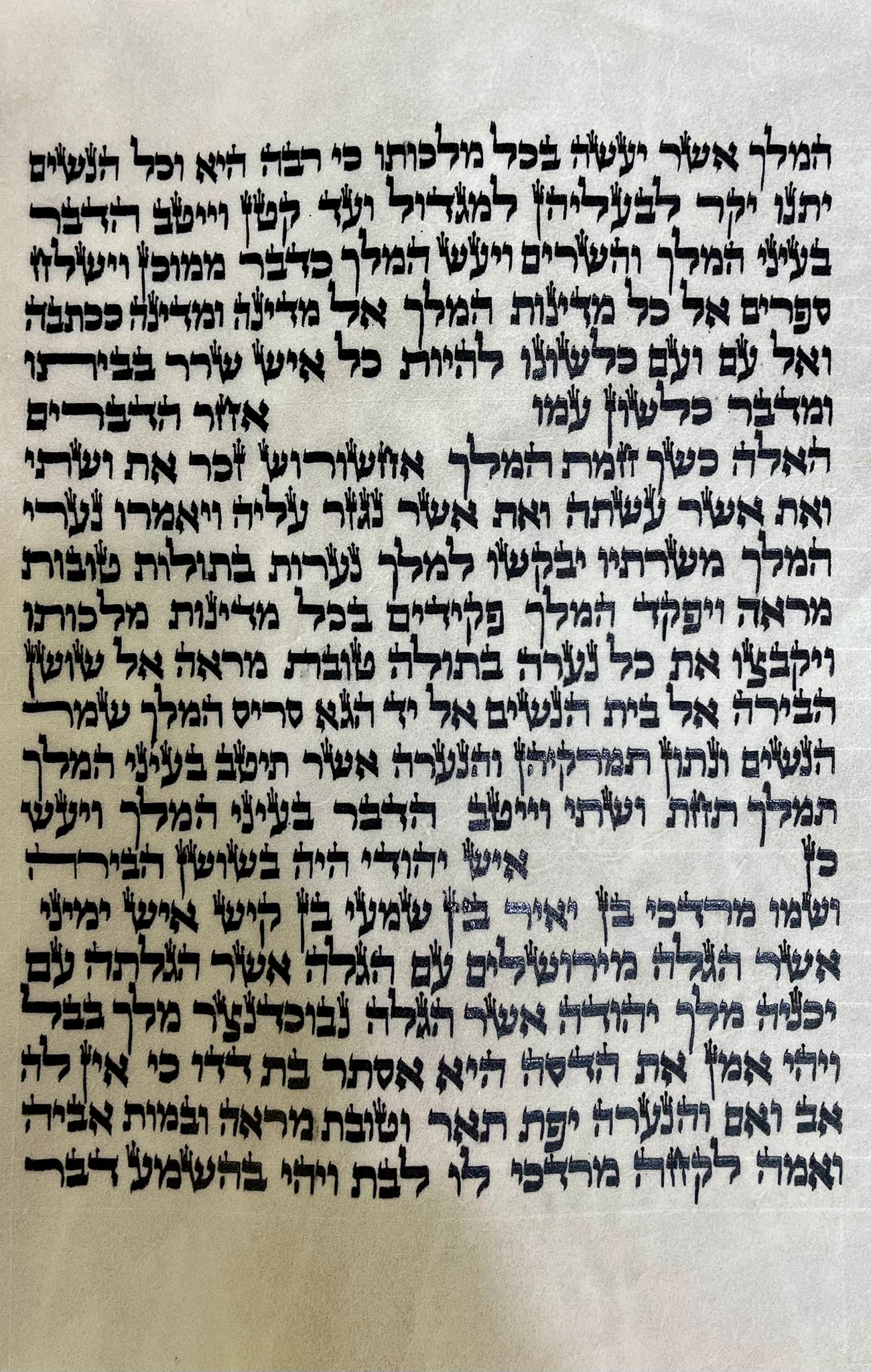 Megillah Sephardic 28 cm Cat. 627 (העתק) (העתק) (העתק) (העתק) - Image 2