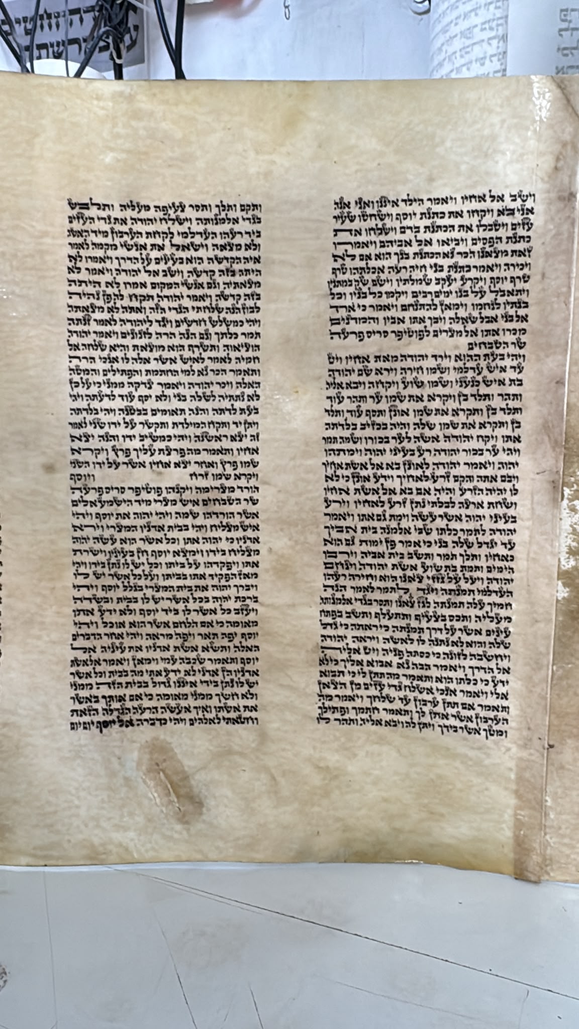 Sephardic Sefer Torah, Height 45 cm, Cat. 40 (העתק) - Image 5