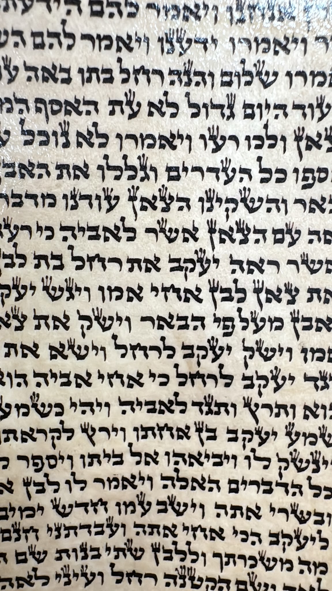 Sephardic Sefer Torah, Height 45 cm, Cat. 40 (העתק) - Image 9