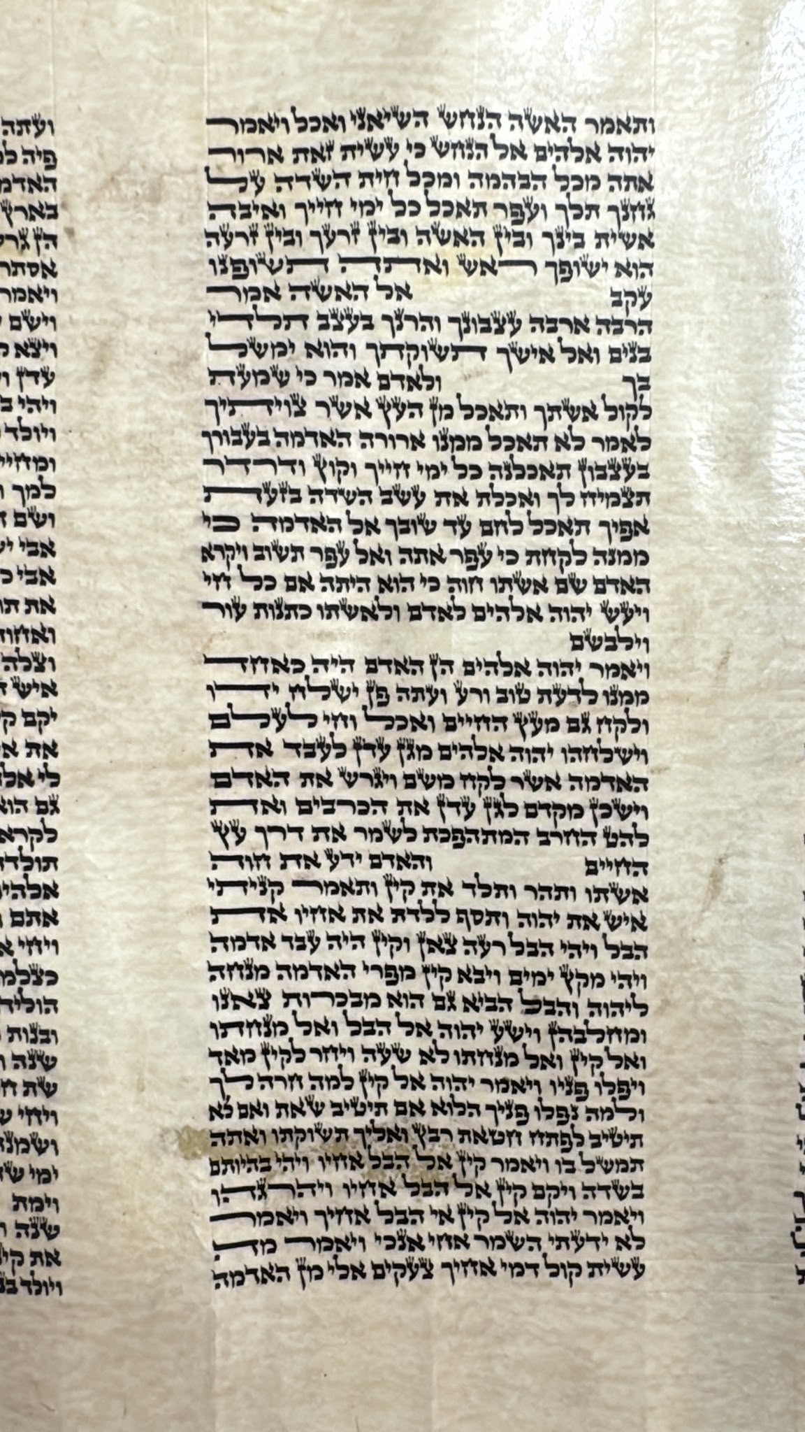 Sephardic Sefer Torah, Height 45 cm, Cat. 40 (העתק) - Image 4